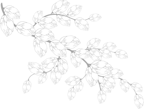 branch