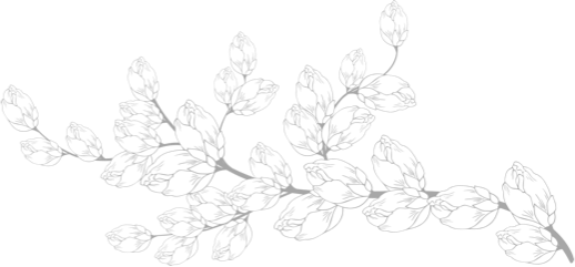 branch